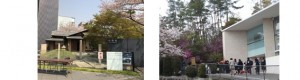 桜の縁2018